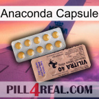 Anaconda Capsule 41